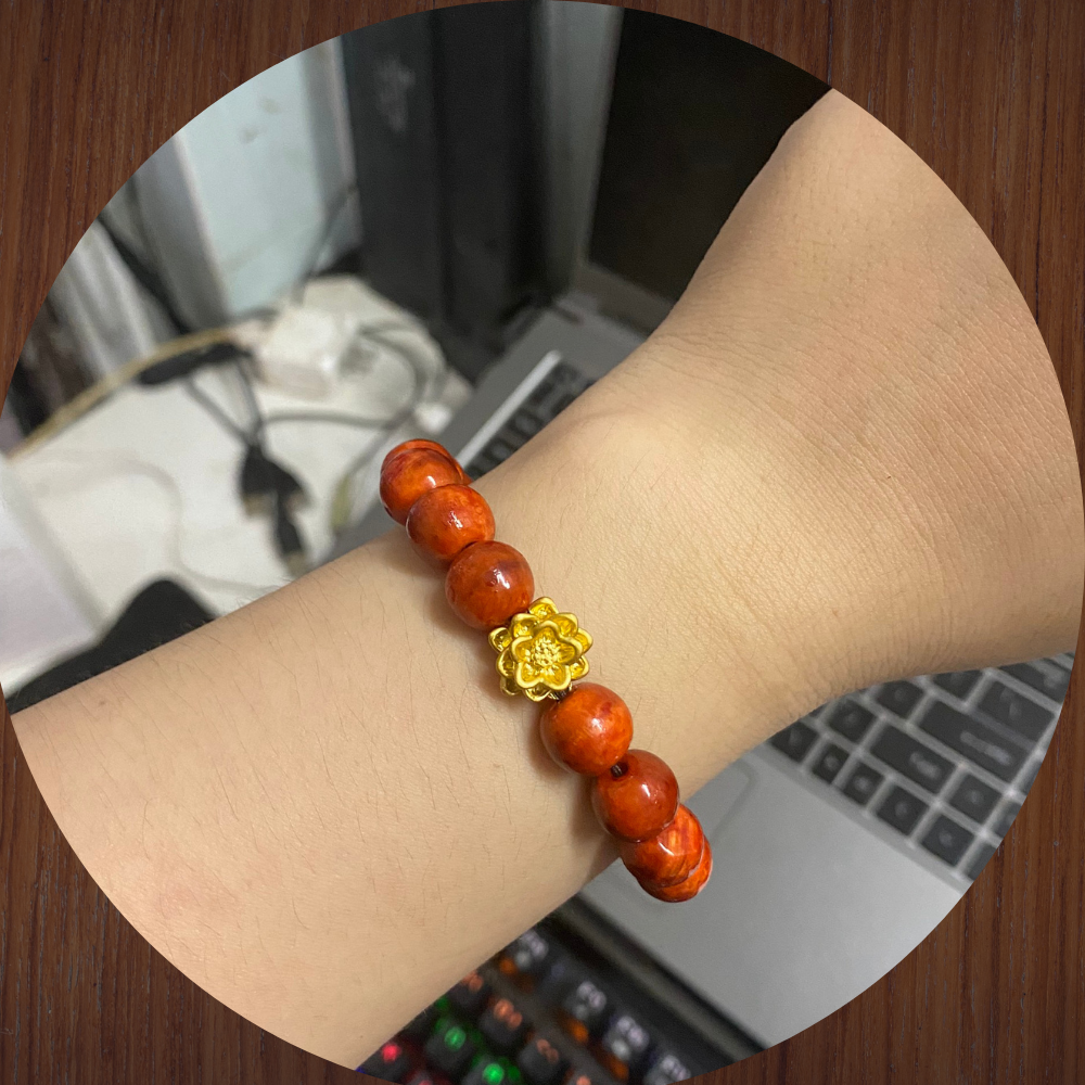 Vòng gỗ huyết long mix charm