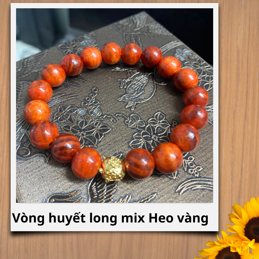 Vòng huyết long tròn 8li mix charm Heo vàng